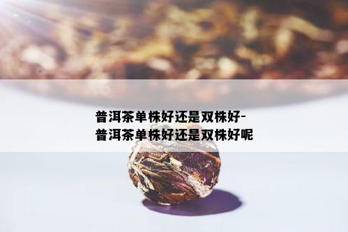 普洱茶单株好还是双株好-普洱茶单株好还是双株好呢