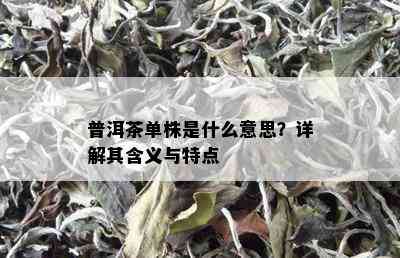 普洱茶单株是什么意思？详解其含义与特点