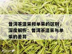 普洱茶混采和单采的区别，深度解析：普洱茶混采与单采的差异