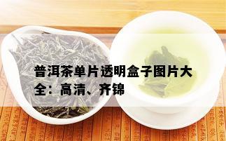 普洱茶单片透明盒子图片大全：高清、齐锦