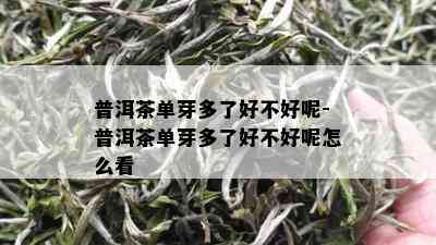 普洱茶单芽多了好不好呢-普洱茶单芽多了好不好呢怎么看