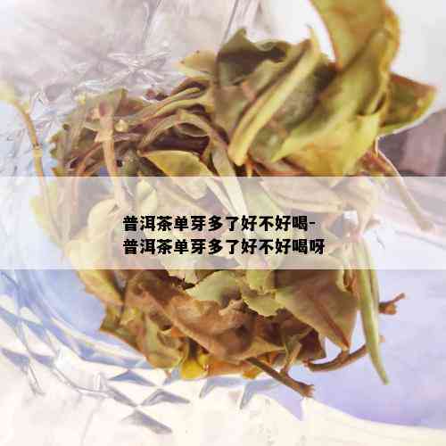 普洱茶单芽多了好不好喝-普洱茶单芽多了好不好喝呀