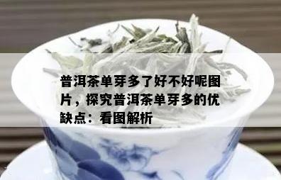 普洱茶单芽多了好不好呢图片，探究普洱茶单芽多的优缺点：看图解析