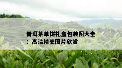 普洱茶单饼礼盒包装图大全：高清精美图片欣赏