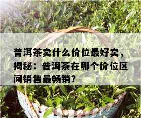 普洱茶卖什么价位更好卖，揭秘：普洱茶在哪个价位区间销售最畅销？