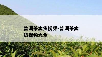 普洱茶卖货视频-普洱茶卖货视频大全