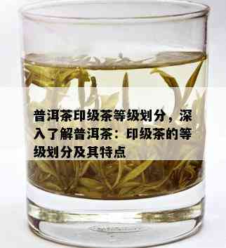 普洱茶印级茶等级划分，深入了解普洱茶：印级茶的等级划分及其特点