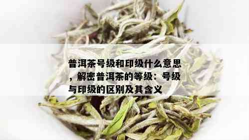 普洱茶号级和印级什么意思，解密普洱茶的等级：号级与印级的区别及其含义