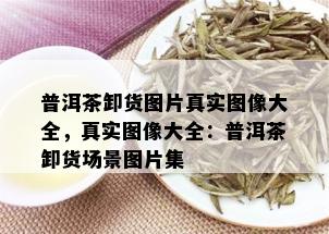 普洱茶卸货图片真实图像大全，真实图像大全：普洱茶卸货场景图片集