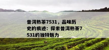 普洱熟茶7531，品味历史的痕迹：探索普洱熟茶7531的独特魅力