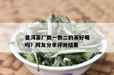 普洱茶厂数一数二的茶好喝吗？网友分享评测结果