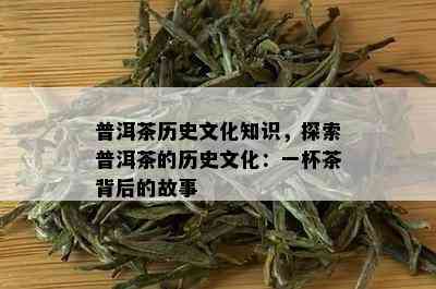 普洱茶历史文化知识，探索普洱茶的历史文化：一杯茶背后的故事