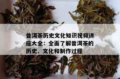 普洱茶历史文化知识视频讲座大全：全面了解普洱茶的历史、文化和制作过程