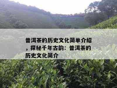 普洱茶的历史文化简单介绍，探秘千年古韵：普洱茶的历史文化简介