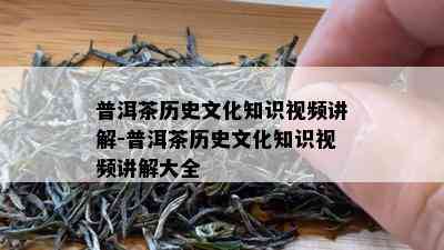 普洱茶历史文化知识视频讲解-普洱茶历史文化知识视频讲解大全