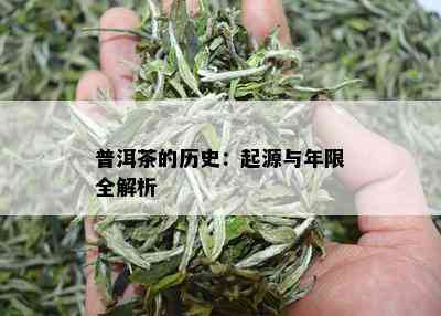 普洱茶的历史：起源与年限全解析