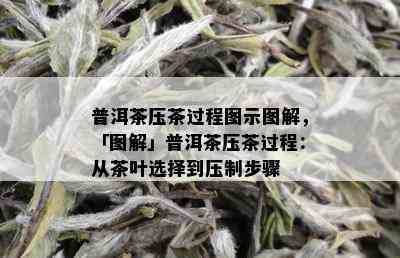 普洱茶压茶过程图示图解，「图解」普洱茶压茶过程：从茶叶选择到压制步骤