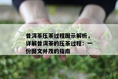 普洱茶压茶过程图示解析，详解普洱茶的压茶过程：一份图文并茂的指南