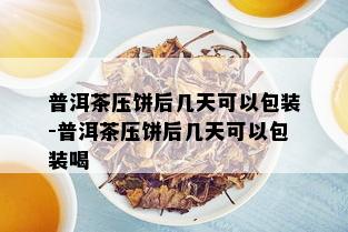 普洱茶压饼后几天可以包装-普洱茶压饼后几天可以包装喝