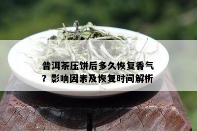 普洱茶压饼后多久恢复香气？影响因素及恢复时间解析