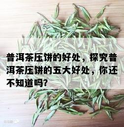 普洱茶压饼的好处，探究普洱茶压饼的五大好处，你还不知道吗？