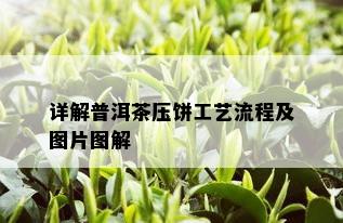 详解普洱茶压饼工艺流程及图片图解