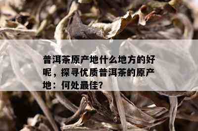 普洱茶原产地什么地方的好呢，探寻优质普洱茶的原产地：何处更佳？