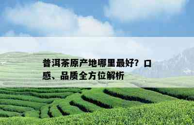 普洱茶原产地哪里更好？口感、品质全方位解析