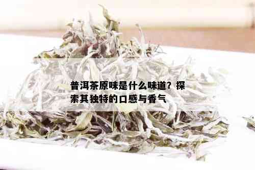 普洱茶原味是什么味道？探索其独特的口感与香气