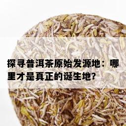 探寻普洱茶原始发源地：哪里才是真正的诞生地？