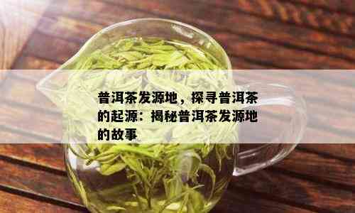 普洱茶发源地，探寻普洱茶的起源：揭秘普洱茶发源地的故事