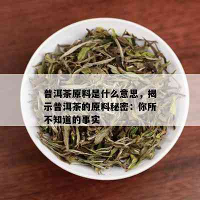 普洱茶原料是什么意思，揭示普洱茶的原料秘密：你所不知道的事实