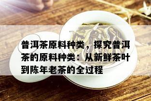 普洱茶原料种类，探究普洱茶的原料种类：从新鲜茶叶到陈年老茶的全过程