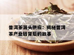 普洱茶源头供应：揭秘普洱茶产业链背后的故事