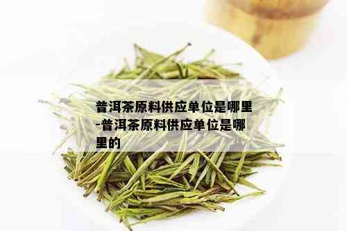 普洱茶原料供应单位是哪里-普洱茶原料供应单位是哪里的