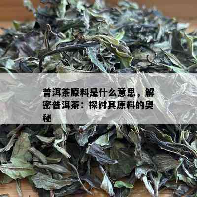 普洱茶原料是什么意思，解密普洱茶：探讨其原料的奥秘