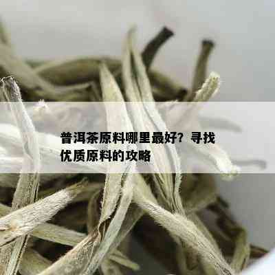 普洱茶原料哪里更好？寻找优质原料的攻略