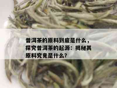 普洱茶的原料到底是什么，探究普洱茶的起源：揭秘其原料究竟是什么？