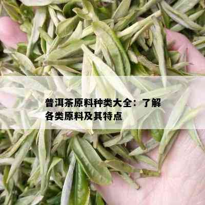 普洱茶原料种类大全：了解各类原料及其特点