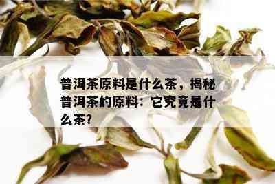 普洱茶原料是什么茶，揭秘普洱茶的原料：它究竟是什么茶？