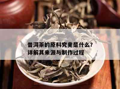 普洱茶的原料究竟是什么？详解其来源与制作过程