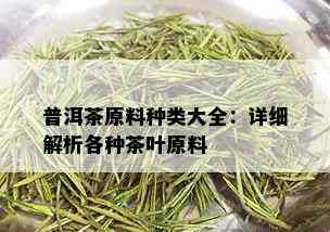 普洱茶原料种类大全：详细解析各种茶叶原料