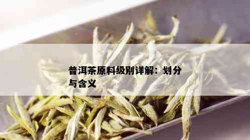 普洱茶原料级别详解：划分与含义