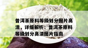 普洱茶原料等级划分图片高清，详细解析：普洱茶原料等级划分高清图片指南