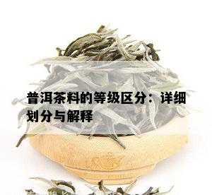 普洱茶料的等级区分：详细划分与解释