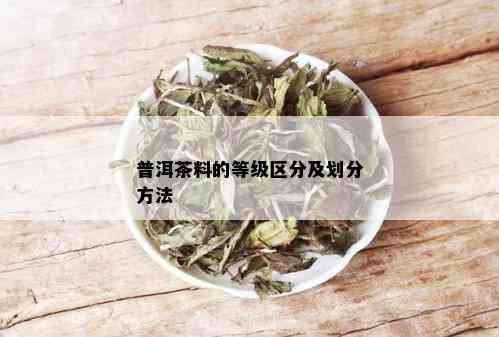 普洱茶料的等级区分及划分方法