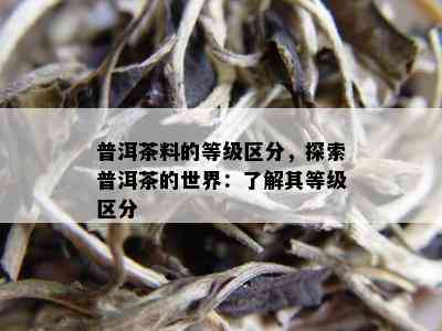 普洱茶料的等级区分，探索普洱茶的世界：了解其等级区分