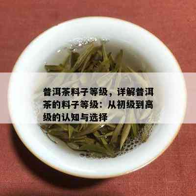 普洱茶料子等级，详解普洱茶的料子等级：从初级到高级的认知与选择