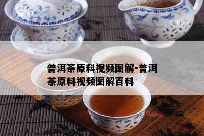 普洱茶原料视频图解-普洱茶原料视频图解百科