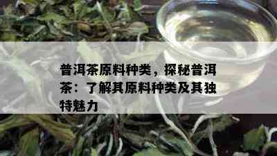 普洱茶原料种类，探秘普洱茶：了解其原料种类及其独特魅力